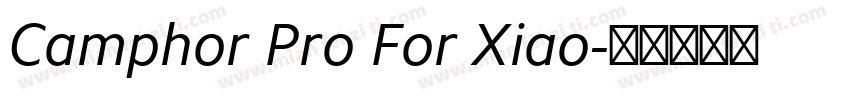 Camphor Pro For Xiao字体转换
